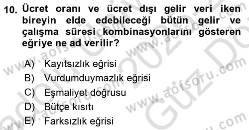 Çalışma Ekonomisi 1 Dersi 2025 - 2026 Yılı (Vize) Ara Sınav Soruları 10. Soru