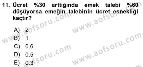 Çalışma Ekonomisi 1 Dersi 2025 - 2026 Yılı (Vize) Ara Sınav Soruları 11. Soru