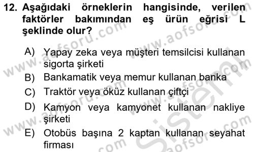 Çalışma Ekonomisi 1 Dersi 2025 - 2026 Yılı (Vize) Ara Sınav Soruları 12. Soru
