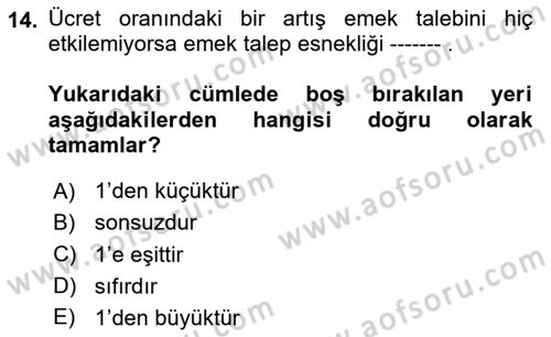 Çalışma Ekonomisi 1 Dersi 2025 - 2026 Yılı (Vize) Ara Sınav Soruları 14. Soru