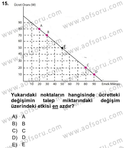 Çalışma Ekonomisi 1 Dersi 2025 - 2026 Yılı (Vize) Ara Sınav Soruları 15. Soru