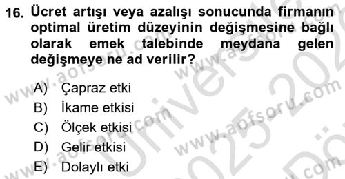 Çalışma Ekonomisi 1 Dersi 2025 - 2026 Yılı (Vize) Ara Sınav Soruları 16. Soru