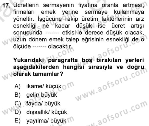 Çalışma Ekonomisi 1 Dersi 2025 - 2026 Yılı (Vize) Ara Sınav Soruları 17. Soru