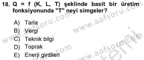Çalışma Ekonomisi 1 Dersi 2025 - 2026 Yılı (Vize) Ara Sınav Soruları 18. Soru