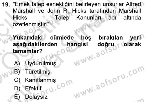 Çalışma Ekonomisi 1 Dersi 2025 - 2026 Yılı (Vize) Ara Sınav Soruları 19. Soru