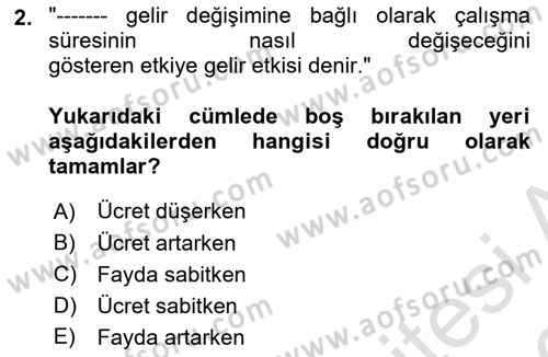 Çalışma Ekonomisi 1 Dersi 2025 - 2026 Yılı (Vize) Ara Sınav Soruları 2. Soru