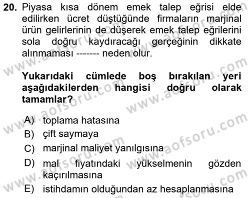 Çalışma Ekonomisi 1 Dersi 2025 - 2026 Yılı (Vize) Ara Sınav Soruları 20. Soru