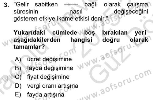 Çalışma Ekonomisi 1 Dersi 2025 - 2026 Yılı (Vize) Ara Sınav Soruları 3. Soru