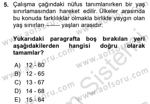 Çalışma Ekonomisi 1 Dersi 2025 - 2026 Yılı (Vize) Ara Sınav Soruları 5. Soru
