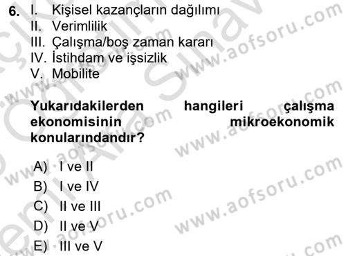 Çalışma Ekonomisi 1 Dersi 2025 - 2026 Yılı (Vize) Ara Sınav Soruları 6. Soru