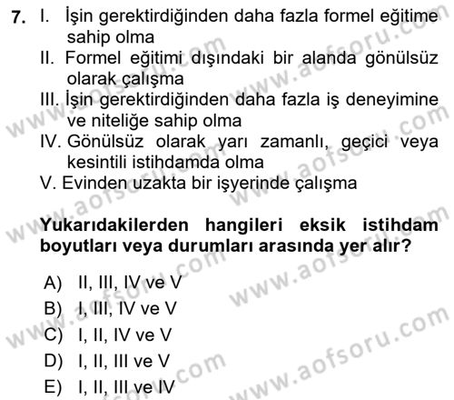 Çalışma Ekonomisi 1 Dersi 2025 - 2026 Yılı (Vize) Ara Sınav Soruları 7. Soru