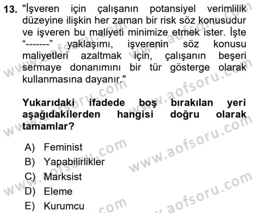 Çalışma Ekonomisi 1 Dersi 2025 - 2026 Yılı (Final) Dönem Sonu Sınav Soruları 13. Soru