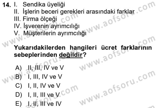 Çalışma Ekonomisi 1 Dersi 2025 - 2026 Yılı (Final) Dönem Sonu Sınav Soruları 14. Soru