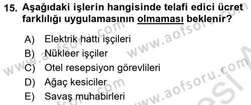Çalışma Ekonomisi 1 Dersi 2025 - 2026 Yılı (Final) Dönem Sonu Sınav Soruları 15. Soru