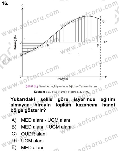 Çalışma Ekonomisi 1 Dersi 2025 - 2026 Yılı (Final) Dönem Sonu Sınav Soruları 16. Soru