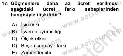 Çalışma Ekonomisi 1 Dersi 2025 - 2026 Yılı (Final) Dönem Sonu Sınav Soruları 17. Soru