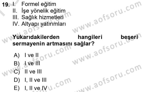Çalışma Ekonomisi 1 Dersi 2025 - 2026 Yılı (Final) Dönem Sonu Sınav Soruları 19. Soru
