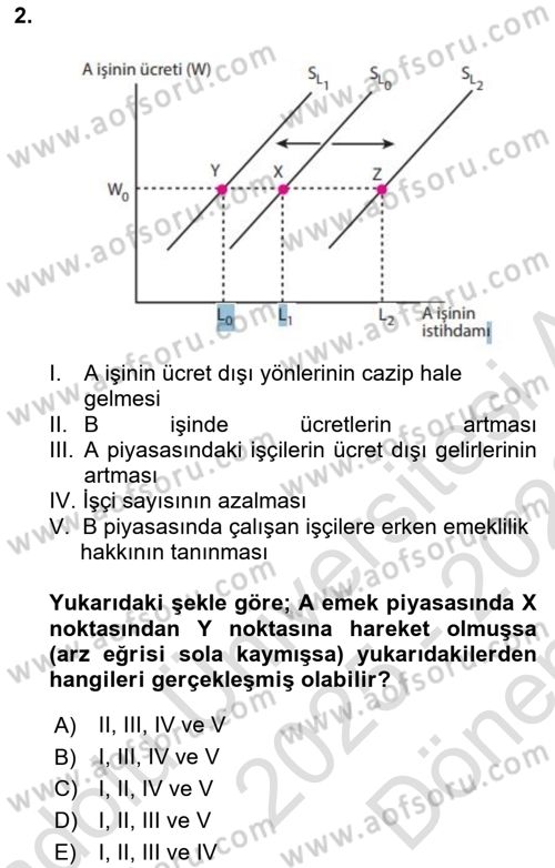 Çalışma Ekonomisi 1 Dersi 2025 - 2026 Yılı (Final) Dönem Sonu Sınav Soruları 2. Soru
