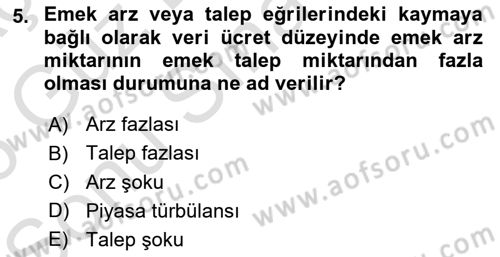 Çalışma Ekonomisi 1 Dersi 2025 - 2026 Yılı (Final) Dönem Sonu Sınav Soruları 5. Soru