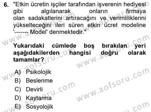 Çalışma Ekonomisi 1 Dersi 2025 - 2026 Yılı (Final) Dönem Sonu Sınav Soruları 6. Soru