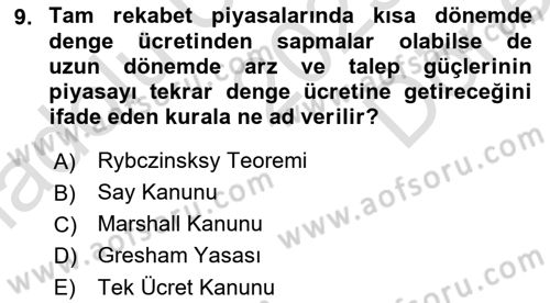 Çalışma Ekonomisi 1 Dersi 2025 - 2026 Yılı (Final) Dönem Sonu Sınav Soruları 9. Soru