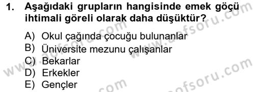 Çalışma Ekonomisi 2 Dersi 2012 - 2013 Yılı (Vize) Ara Sınav Soruları 1. Soru