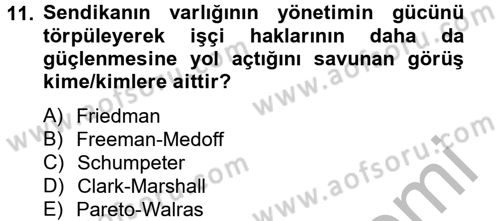 Çalışma Ekonomisi 2 Dersi 2012 - 2013 Yılı (Vize) Ara Sınav Soruları 11. Soru