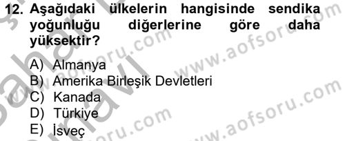 Çalışma Ekonomisi 2 Dersi 2012 - 2013 Yılı (Vize) Ara Sınav Soruları 12. Soru