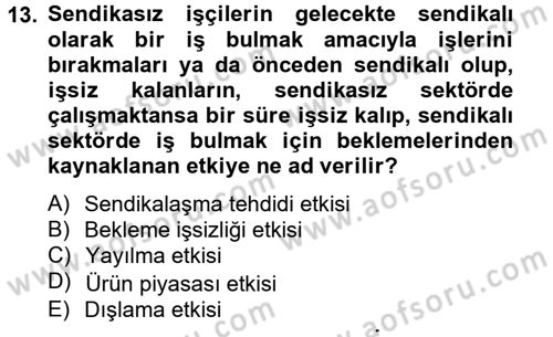 Çalışma Ekonomisi 2 Dersi 2012 - 2013 Yılı (Vize) Ara Sınav Soruları 13. Soru