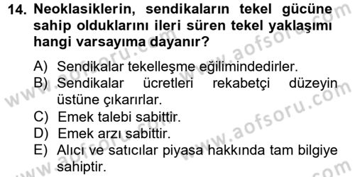 Çalışma Ekonomisi 2 Dersi 2012 - 2013 Yılı (Vize) Ara Sınav Soruları 14. Soru