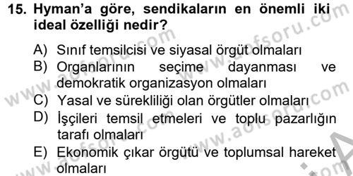 Çalışma Ekonomisi 2 Dersi 2012 - 2013 Yılı (Vize) Ara Sınav Soruları 15. Soru