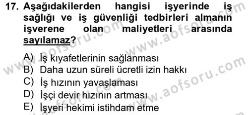Çalışma Ekonomisi 2 Dersi 2012 - 2013 Yılı (Vize) Ara Sınav Soruları 17. Soru