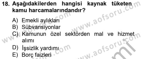 Çalışma Ekonomisi 2 Dersi 2012 - 2013 Yılı (Vize) Ara Sınav Soruları 18. Soru