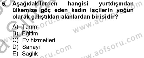 Çalışma Ekonomisi 2 Dersi 2012 - 2013 Yılı (Vize) Ara Sınav Soruları 5. Soru