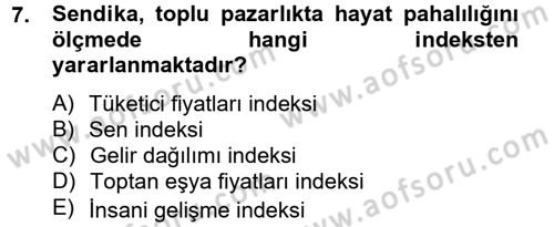 Çalışma Ekonomisi 2 Dersi 2012 - 2013 Yılı (Vize) Ara Sınav Soruları 7. Soru