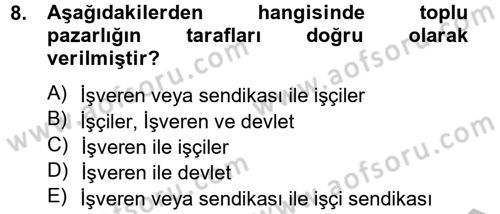 Çalışma Ekonomisi 2 Dersi 2012 - 2013 Yılı (Vize) Ara Sınav Soruları 8. Soru