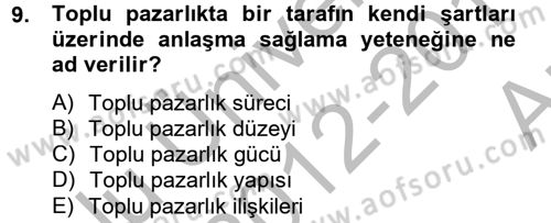 Çalışma Ekonomisi 2 Dersi 2012 - 2013 Yılı (Vize) Ara Sınav Soruları 9. Soru