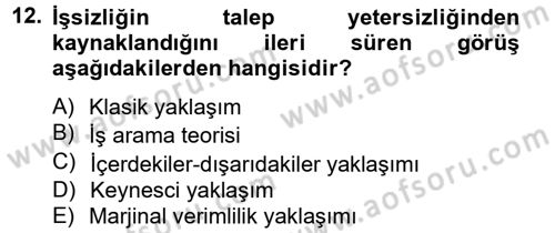 Çalışma Ekonomisi 2 Dersi 2012 - 2013 Yılı (Final) Dönem Sonu Sınav Soruları 12. Soru