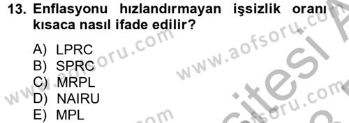 Çalışma Ekonomisi 2 Dersi 2012 - 2013 Yılı (Final) Dönem Sonu Sınav Soruları 13. Soru