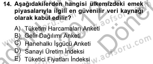 Çalışma Ekonomisi 2 Dersi 2012 - 2013 Yılı (Final) Dönem Sonu Sınav Soruları 14. Soru