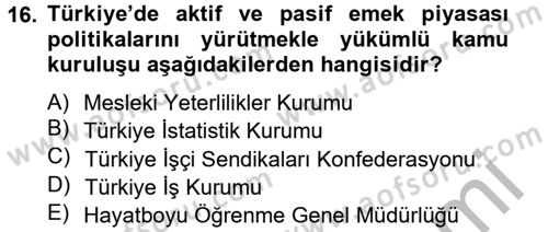 Çalışma Ekonomisi 2 Dersi 2012 - 2013 Yılı (Final) Dönem Sonu Sınav Soruları 16. Soru