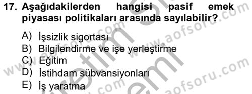 Çalışma Ekonomisi 2 Dersi 2012 - 2013 Yılı (Final) Dönem Sonu Sınav Soruları 17. Soru