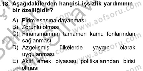Çalışma Ekonomisi 2 Dersi 2012 - 2013 Yılı (Final) Dönem Sonu Sınav Soruları 18. Soru
