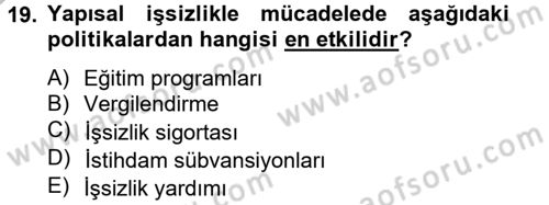 Çalışma Ekonomisi 2 Dersi 2012 - 2013 Yılı (Final) Dönem Sonu Sınav Soruları 19. Soru
