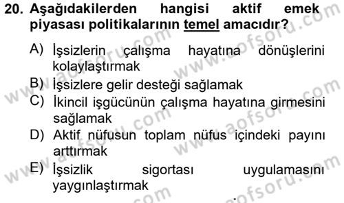 Çalışma Ekonomisi 2 Dersi 2012 - 2013 Yılı (Final) Dönem Sonu Sınav Soruları 20. Soru