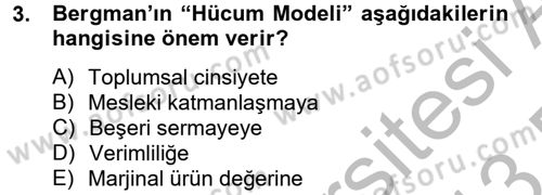 Çalışma Ekonomisi 2 Dersi 2012 - 2013 Yılı (Final) Dönem Sonu Sınav Soruları 3. Soru