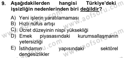 Çalışma Ekonomisi 2 Dersi 2012 - 2013 Yılı (Final) Dönem Sonu Sınav Soruları 9. Soru
