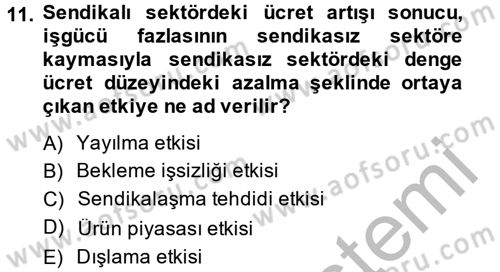 Çalışma Ekonomisi 2 Dersi 2013 - 2014 Yılı (Vize) Ara Sınav Soruları 11. Soru