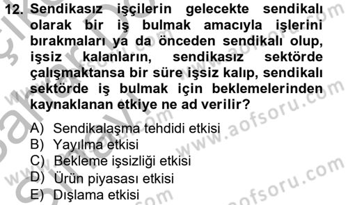 Çalışma Ekonomisi 2 Dersi 2013 - 2014 Yılı (Vize) Ara Sınav Soruları 12. Soru