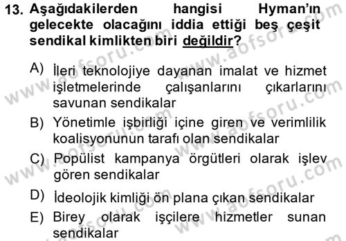 Çalışma Ekonomisi 2 Dersi 2013 - 2014 Yılı (Vize) Ara Sınav Soruları 13. Soru